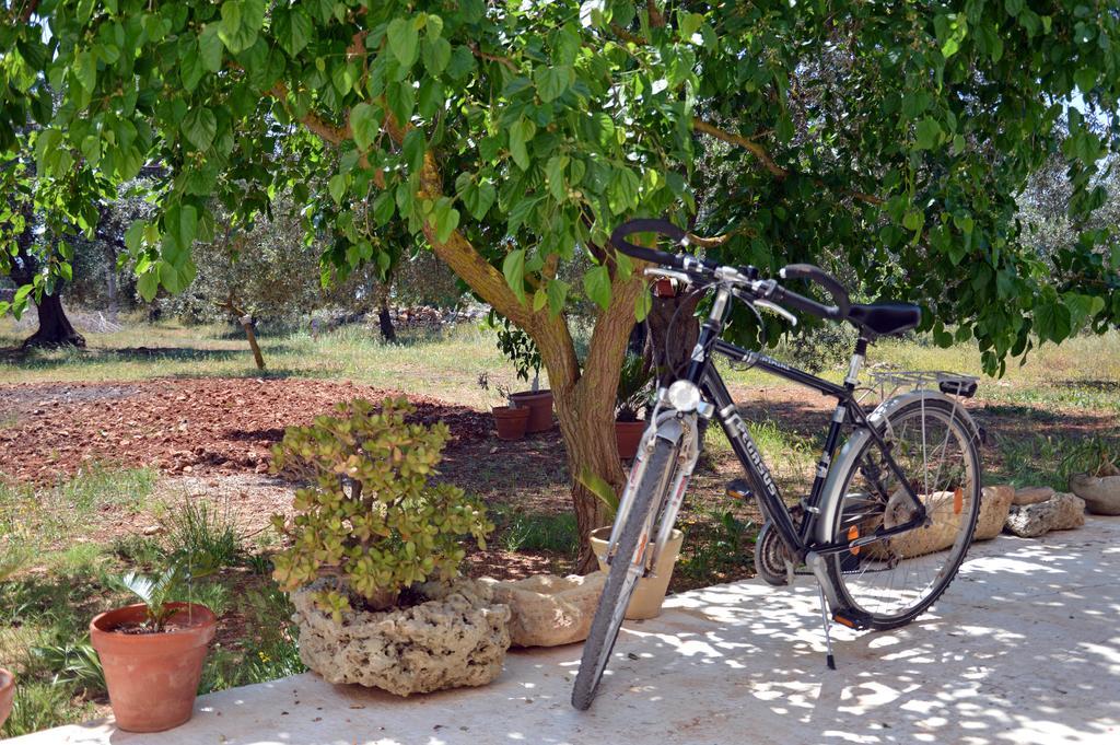 Agriturismo Tenuta Del Morige 갈라토네 외부 사진