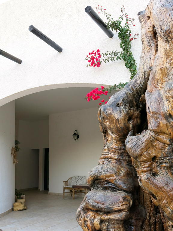 Agriturismo Tenuta Del Morige 갈라토네 객실 사진